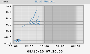 Wind Vector